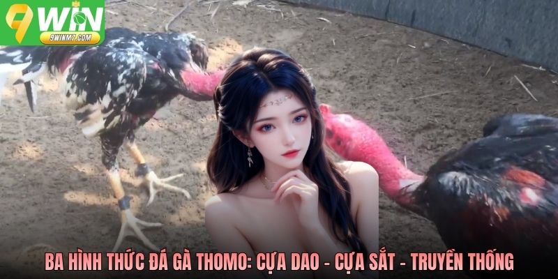 Ba hình thức đá gà Thomo: cựa dao - cựa sắt - truyền thống