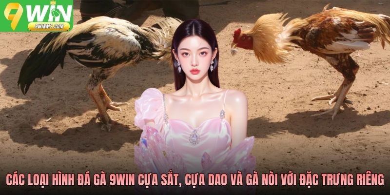 Các loại hình đá gà 9WIN cựa sắt, cựa dao và gà nòi với đặc trưng riêng