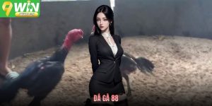 Đá Gà 88 9WIN - Tổng Quan Sân Chơi Chọi Kê Danh Tiếng