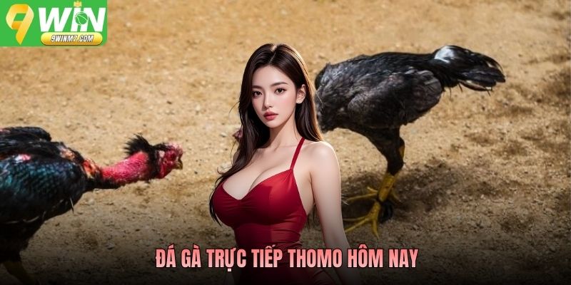 Đá Gà Trực Tiếp Thomo Hôm Nay 9WIN Xem Live Chuẩn Nét