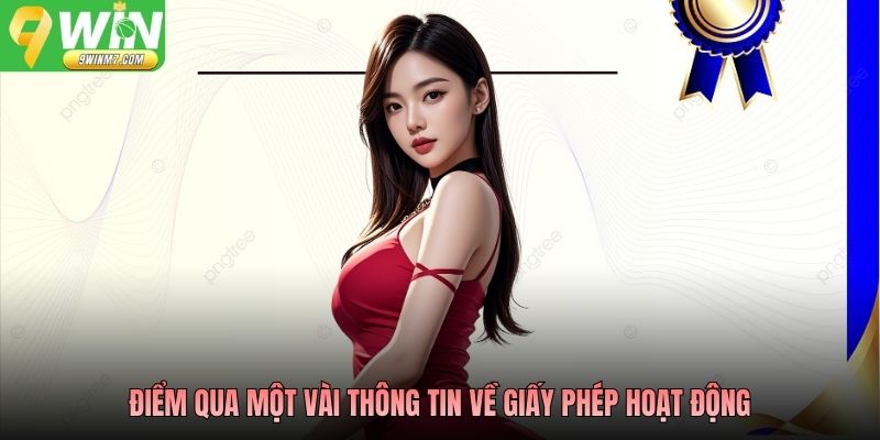 Điểm qua một vài thông tin về giấy phép hoạt động