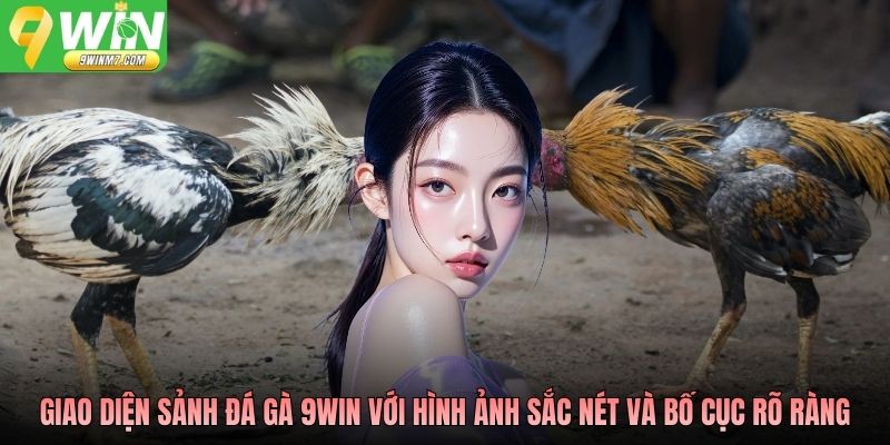 Giao diện sảnh đá gà 9WIN với hình ảnh sắc nét và bố cục rõ ràng