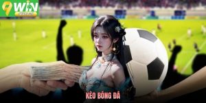 Kèo Bóng Đá 9WIN - Phân Loại, Cách Đọc Và Kiến Thức Cần Nắm