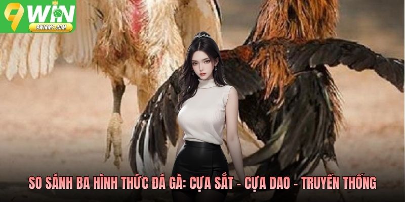 So sánh ba hình thức đá gà: cựa sắt - cựa dao - truyền thống